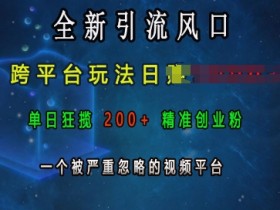全新引流风口，跨平台玩法日入上k，单日狂揽200+精准创业粉，一个被严重忽略的视频平台