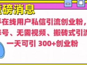 快手最新引流创业粉方法，无需养号、无需视频、搬砖式引流法【揭秘】
