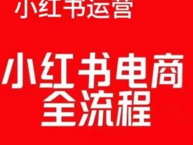 红薯电商实操课，小红书电商全流程