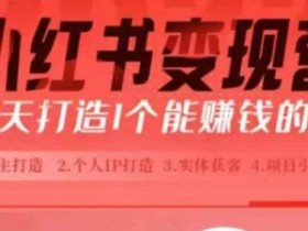 小红书博主课，21天从0到1打造1个能赚钱的红薯号，适用于新手小白