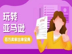 教你玩转亚马逊，跨境电商亚马逊教程，百万卖家出单宝典