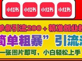 12月底小红书”简单粗暴“引流法，单条引流200+精准创业粉