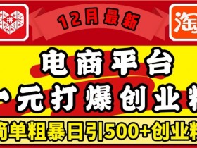 12月最新：电商平台1元打爆创业粉，简单粗暴日引500+精准创业粉，轻松月入过W【揭秘】