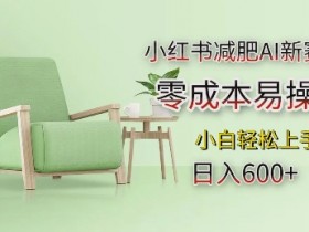 小红书减肥AI新赛道，零成本易操作，日入多张，小白轻松上手【揭秘】