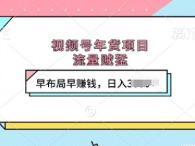 视频号年货项目，流量贼猛，早布局早挣钱，日入上k【揭秘】