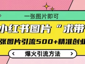 小红书图片‘求带’爆火引流法，单张图片引流500+精准创业粉【揭秘】