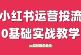 小红书运营投流，小红书广告投放从0到1的实战课，学完即可开始投放（更新26年）