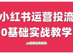 小红书运营投流，小红书广告投放从0到1的实战课，学完即可开始投放