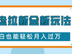 网盘拉新全新玩法，免费复习资料引流大学生粉二次变现，小白也能轻松月入过W【揭秘】