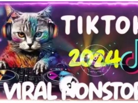Tiktok东南亚小店运营，TK跨境小店教程让学员能快速掌握实用的运营技巧
