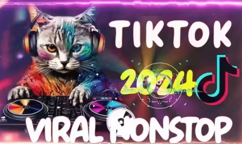大鱼老师·Tiktok东南亚小店运营