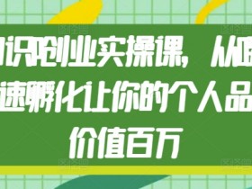 知识IP创业实操课，从0到1快速孵化让你的个人品牌价值百万