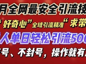 12 月份全网最安全引流创业粉技术来袭，不封号不废号，有操作就有流量【揭秘】