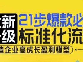 21步爆款必爆标准化流程，全新升级，打造企业高成长盈利模型