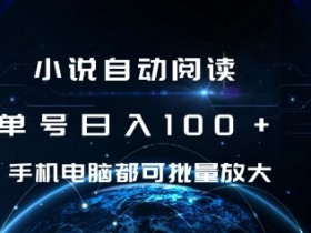 小说自动阅读 单号日入100+ 手机电脑都可 批量放大操作【揭秘】