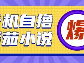 首发云手机自撸小说玩法，10块钱成本可撸200+收益操作简单【揭秘】