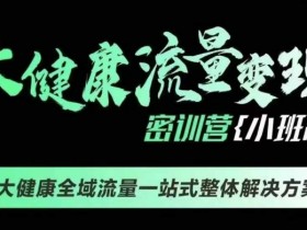 千万级大健康变现课线下课，大健康全域流量一站式整体解决方案