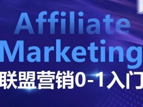 ​​​​​​Affiliate Marketing联盟营销0-1入门，联盟营销基本逻辑 联盟平台逻辑及联盟客逻辑全面详解