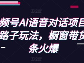 视频号AI语音对话项目，野路子玩法，橱窗带货条条火爆