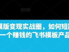 飞书模版变现实战圈，如何短期搭建一个赚钱的飞书模板产品