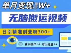 无脑搬运视频号可批量复制，新手即可操作，日引精准创业粉300+，月变现过W 【揭秘】