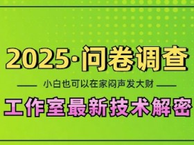 2025问卷调查最新工作室技术解密：一个人在家也可以闷声发大财，小白一天2张，可矩阵放大【揭秘】