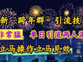 最新“跨年群”引流，流量非常猛，单日引流两人满人群，立马操作立马见效【揭秘】
