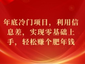 年底冷门项目，利用信息差，实现零基础上手，轻松赚个肥年钱【揭秘】