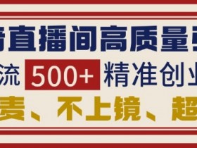 抖音直播间引流创业粉，无需连麦、不用上镜、超暴力，日引流500+高质量精准创业粉