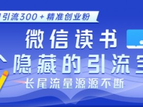 微信读书，一个隐藏的引流宝地，不为人知的小众打法，日引流300+精准创业粉，长尾流量源源不断