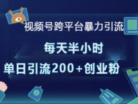 视频号跨平台暴力引流，每天半小时，单日引流200+精准创业粉
