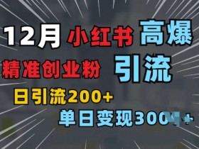 小红书一张图片“引爆”创业粉，单日+200+精准创业粉 可筛选付费意识创业粉【揭秘】