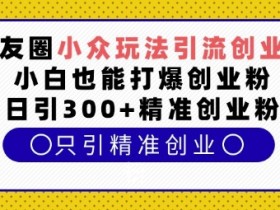朋友圈小众玩法引流创业粉，小白也能打爆创业粉，日引300+精准创业粉【揭秘】