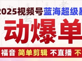 2025视频号蓝海超级暴利自动爆单术1.0 ，小白褔音 简单剪辑 不直播 不挂车