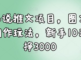 小说推文项目，图文创作玩法，新手10天挣3000