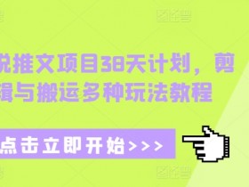 小说推文项目38天计划，剪辑与搬运多种玩法教程