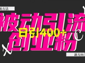 创业粉暴力引流，全平台玩法，一个视频引300+，找对方法和方向，干就行了