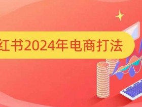 小红书2024年电商打法，手把手教你如何打爆小红书店铺