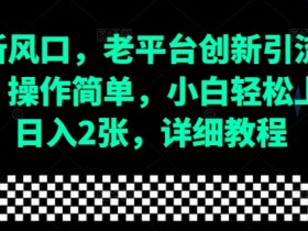 流量新风口，老平台创新引流隐藏玩法，操作简单，小白轻松上手，日入2张，详细教程