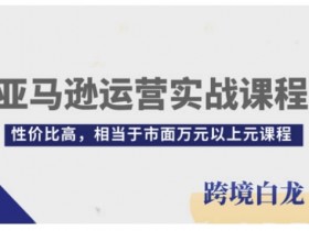 亚马逊运营实战课程，亚马逊从入门到精通，性价比高，相当于市面万元以上元课程