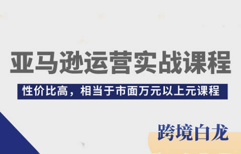 白龙老师·亚马逊运营实战课程