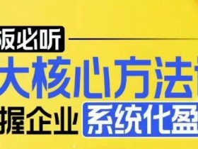 【老板必听】5大核心方法论，掌握企业系统化盈利密码