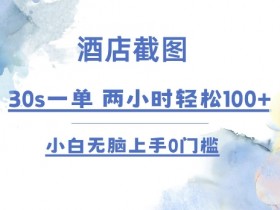 酒店截图 30s一单  2小时轻松100+ 小白无脑上手0门槛【仅揭秘】