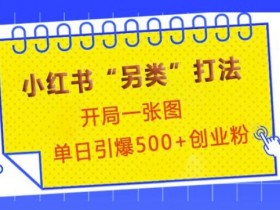 小红书“另类”打法，开局一张图，单日引爆500+精准创业粉【揭秘】