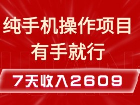 纯手机操作的小项目，有手就能做，7天收入2609+实操教程【揭秘】