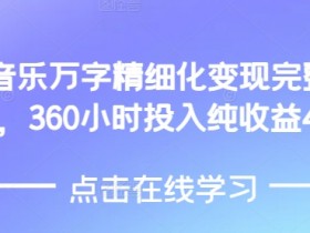 AI音乐精细化变现完整教程，360小时投入纯收益4W