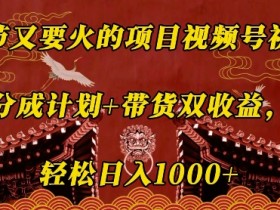 春节又要火的项目视频号祝福，分成计划+带货双收益，轻松日入几张【揭秘】