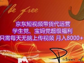 京东短视频带货代运营，学生党、宝妈党超级福利，只需每天无脑上传视频，月入8000+【仅揭秘】