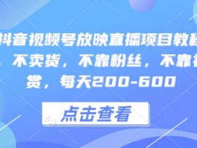 快手抖音视频号放映直播项目教程，不违规，不卖货，不靠粉丝，不靠礼物打赏，每天200-600