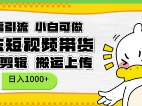无需引流，小白可做，京东短现频带货，不用剪辑，搬运上传，日入1k【揭秘】